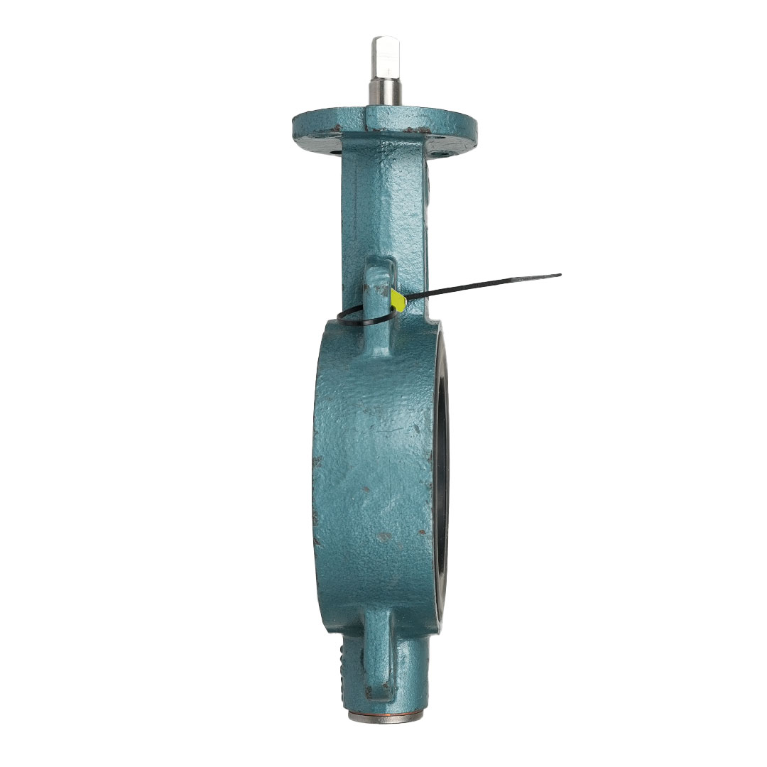 شیر پروانه‌ای Ebro Z011-K1 DN100